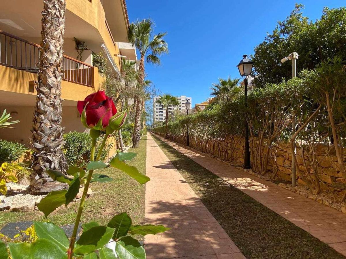 Acogedor Apartamento Al Lado De La Playa Alicante Bagian luar foto